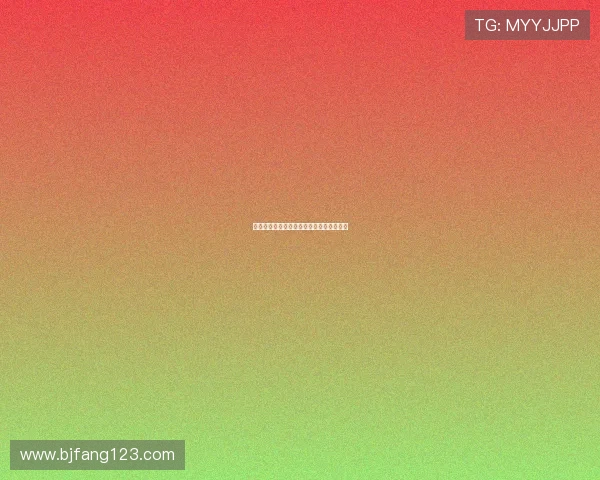 法甲投资人背后的资本故事与市场战略解析